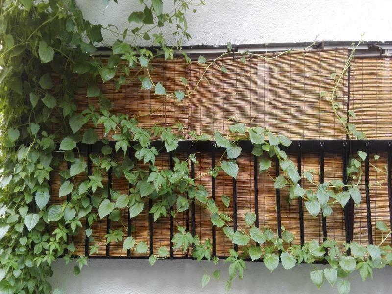 Serendipity At Kyoto Exterior photo